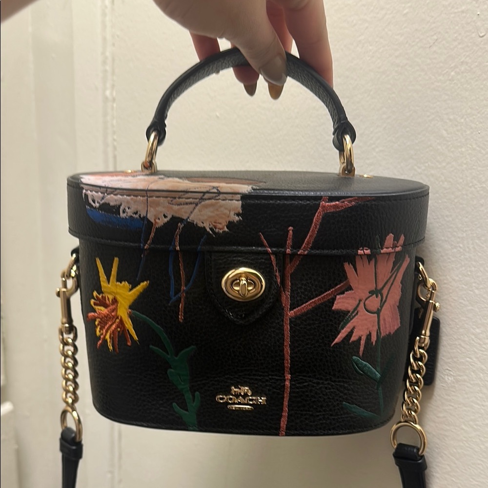 Coach Basquiat bag. Worn only a couple times.